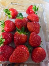 팜모닝 · 게시글 이미지