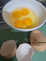 팜모닝 · 게시글 이미지