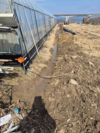 허굴산농장님의 자유주제 · 자유게시판 작성글 사진