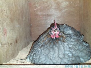 황대헌님의 자유주제 · 자유게시판 작성글 사진