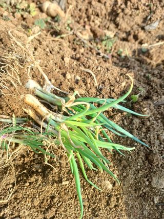 바람소리님의 자유주제 · 자유게시판 작성글 사진