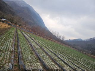 백용기님의 자유주제 · 자유게시판 작성글 사진