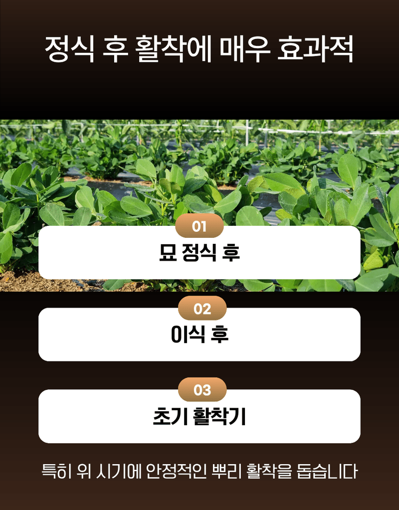 농업마켓365님의 장터 판매 상품 [루트맥스 2L 뿌리발근제 해조추출물 아미노산 활착제 뿌리활력 식물영양제] 첨부 사진