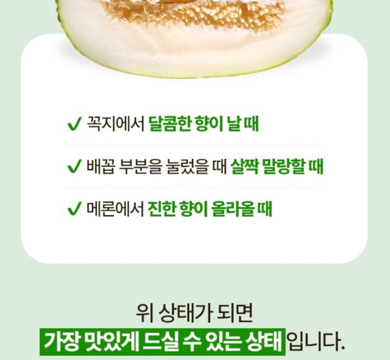 스피드번님의 장터 판매 상품 [고령 파파야메론] 첨부 사진