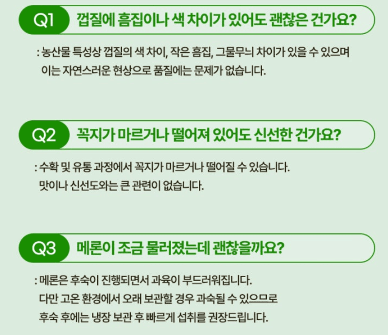 스피드번님의 장터 판매 상품 [고령 파파야메론] 첨부 사진