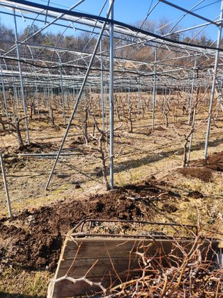 최상길 님의 자유주제 · 자유게시판 작성글 사진