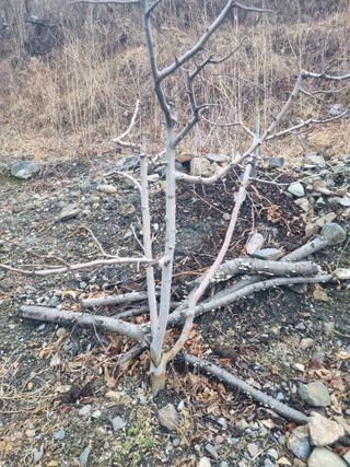 김용대님의 자유주제 · 자유게시판 작성글 사진