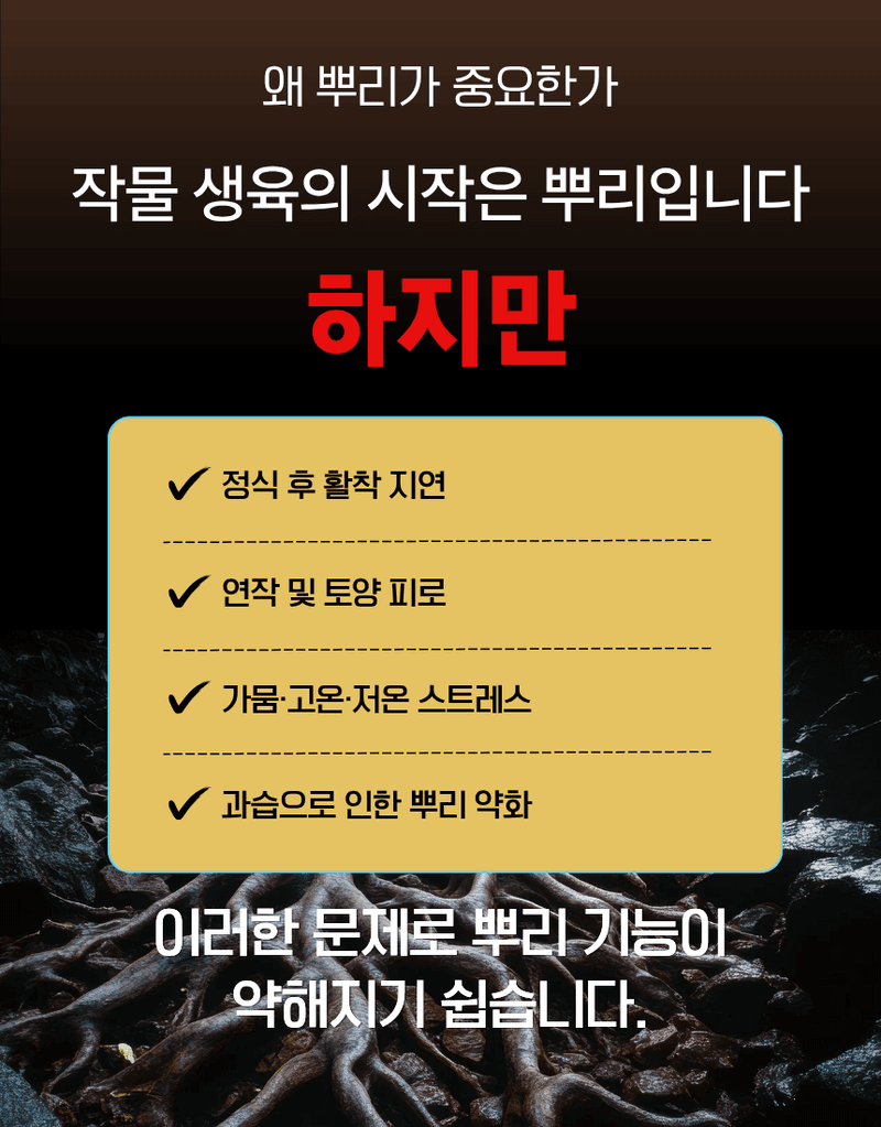 농업마켓365님의 장터 판매 상품 [루트맥스 2L 뿌리발근제 해조추출물 아미노산 활착제 뿌리활력 식물영양제] 첨부 사진