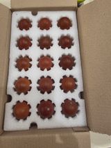 김영복님의 자유주제·자유게시판 작성글 사진