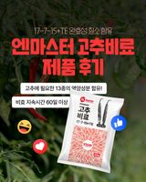 팜모닝 자유주제·자유게시판 게시글 이미지