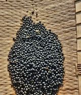 팜모닝 자유주제·사진전 게시글 이미지