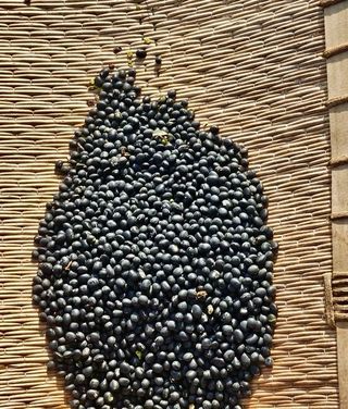 김양래님의 자유주제 · 사진전 작성글 사진