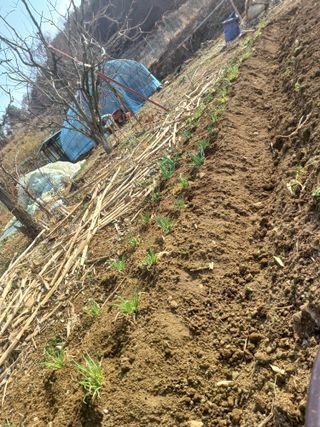 바람소리님의 자유주제 · 자유게시판 작성글 사진