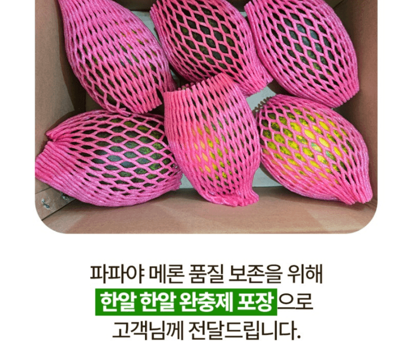 스피드번님의 장터 판매 상품 [고령 파파야메론] 첨부 사진