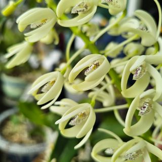 김정우님의 자유주제 · 자유게시판 작성글 사진