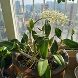 팜모닝 자유주제·자유게시판 게시글 이미지