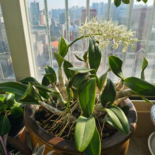 김정우님의 자유주제 · 자유게시판 작성글 사진