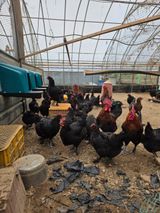 팜모닝 자유주제·자유게시판 게시글 이미지