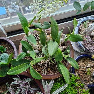 김정우님의 자유주제 · 자유게시판 작성글 사진