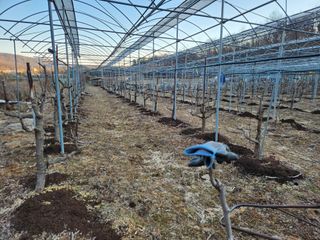 최상길 님의 자유주제 · 자유게시판 작성글 사진