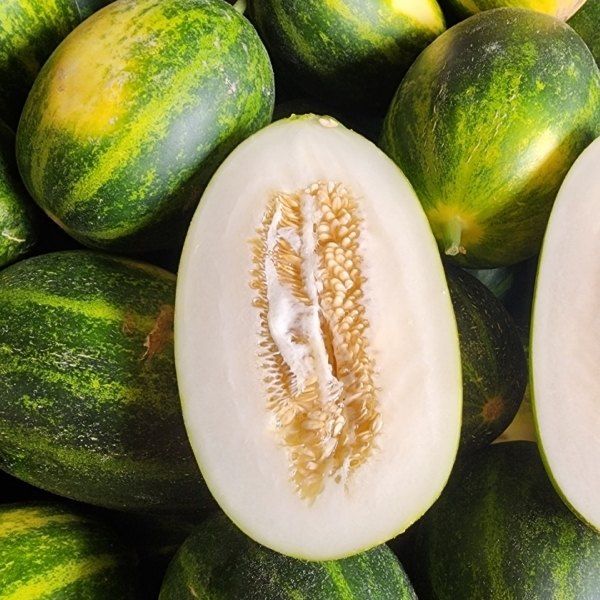 장터 상품 [고령 파파야메론] 썸네일