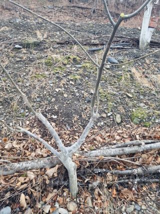 김용대님의 자유주제 · 자유게시판 작성글 사진