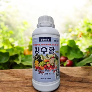 채종원님의 자유주제 · 자유게시판 작성글 사진