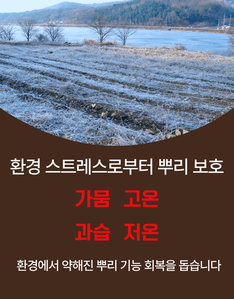 농업마켓365님의 장터 판매 상품 [루트맥스 2L 뿌리발근제 해조추출물 아미노산 활착제 뿌리활력 식물영양제] 첨부 사진