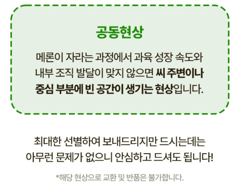스피드번님의 장터 판매 상품 [고령 파파야메론] 첨부 사진