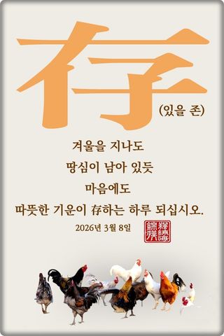 정진해님의 자유주제·자유게시판 작성글 사진