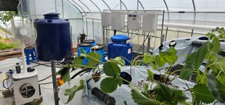 백암제이하우스님의 자유주제 · 자유게시판 작성글 사진