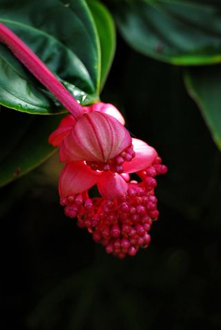 안길원님의 자유주제·자유게시판 작성글 사진