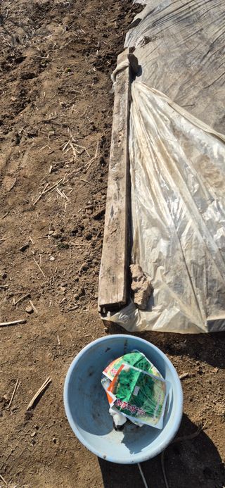 봉림동 태진농장님의 자유주제 · 자유게시판 작성글 사진