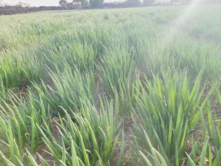 한경훈님의 자유주제 · 자유게시판 작성글 사진