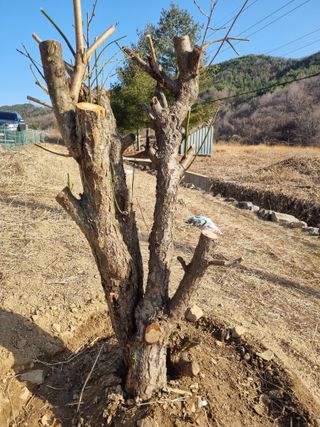 박진규님의 자유주제 · 자유게시판 작성글 사진