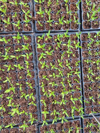 김영진(전남영광)님의 자유주제 · 자유게시판 작성글 사진