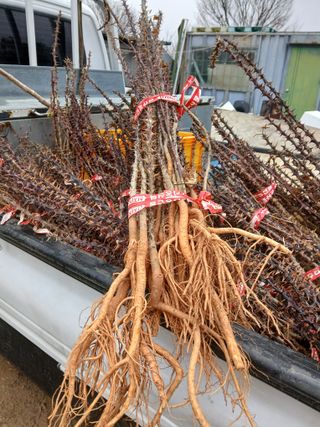 팜모닝회원 최창락 님의 작성글 사진