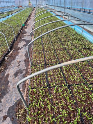 김영진(전남영광)님의 자유주제 · 자유게시판 작성글 사진