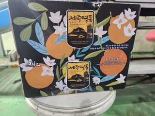 양태숙님의 작성글 사진