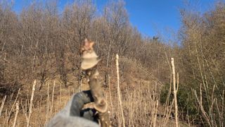 제키님의 자유주제 · 자유게시판 작성글 사진