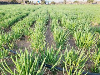 한경훈님의 자유주제 · 자유게시판 작성글 사진