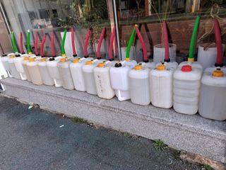 MSG0074님의 자유주제 · 자유게시판 작성글 사진