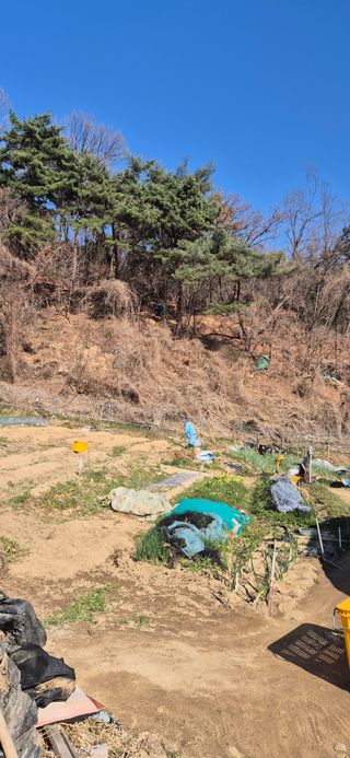 봉림동 태진농장님의 자유주제 · 자유게시판 작성글 사진