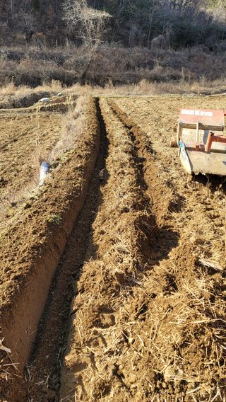 권리를위한투쟁님의 자유주제 · 자유게시판 작성글 사진