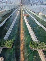 팜모닝 자유주제·자유게시판 게시글 이미지