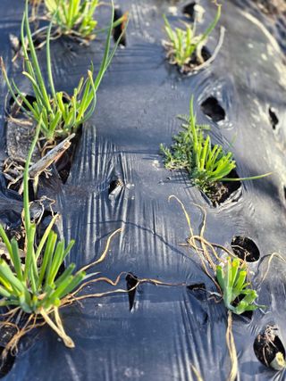 김대기님의 자유주제 · 자유게시판 작성글 사진