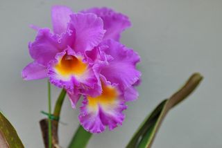 안길원님의 자유주제 · 자유게시판 작성글 사진