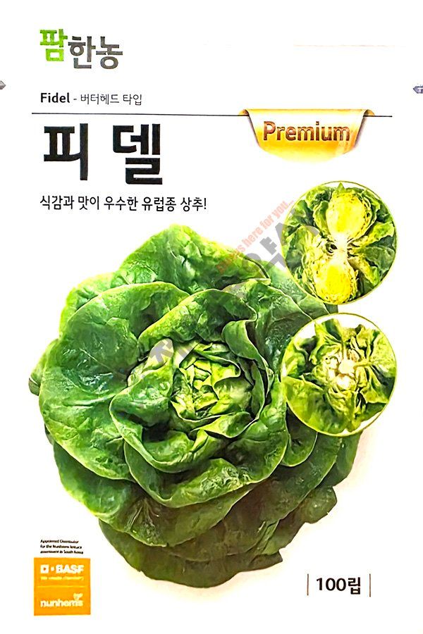 안산제일농약사님의 장터 판매 상품 [유럽상추씨앗 모음 피델 바사리 씸블 핀스타 26년] 첨부 사진