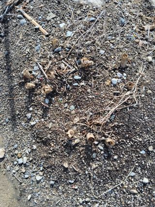 김종덕님의 작성글 사진