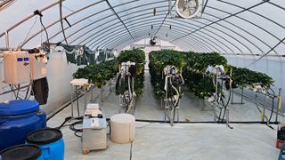 백암제이하우스님의 자유주제 · 자유게시판 작성글 사진